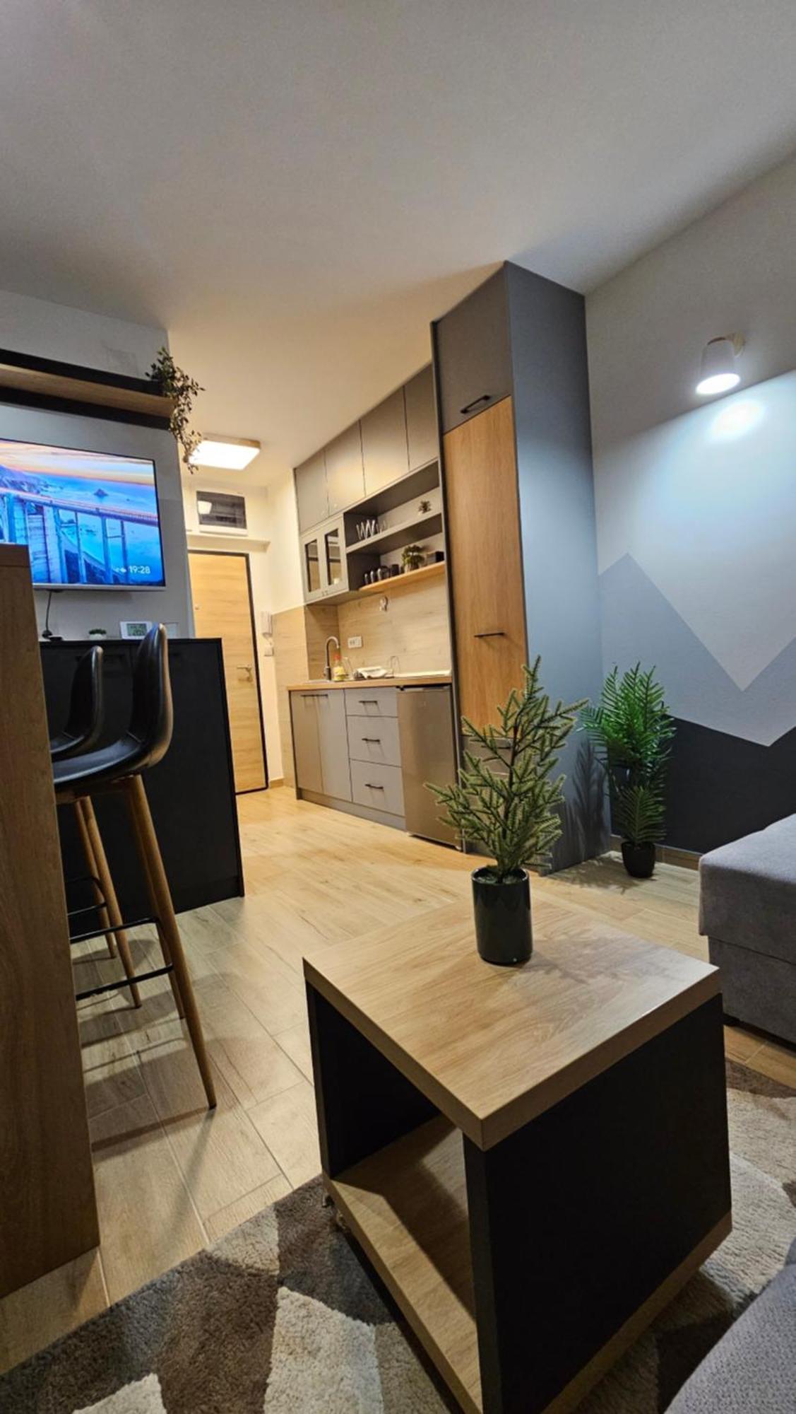 Hills Part Apartment Divcibare